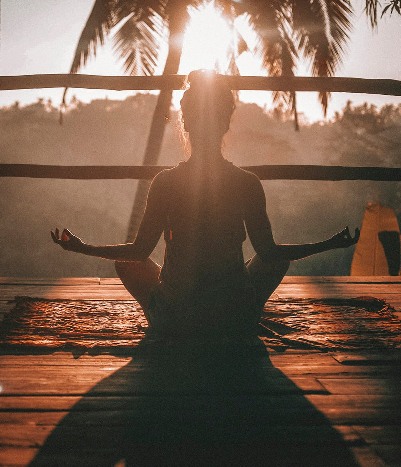 Health & Wellness collection banner