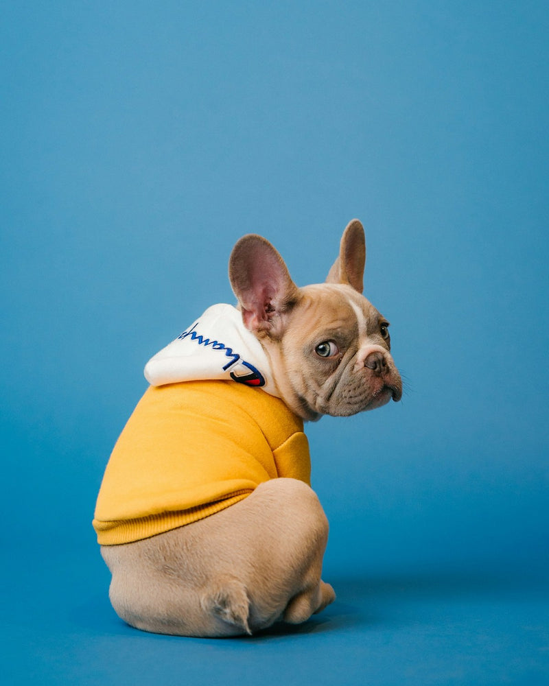 Pet Products collection banner