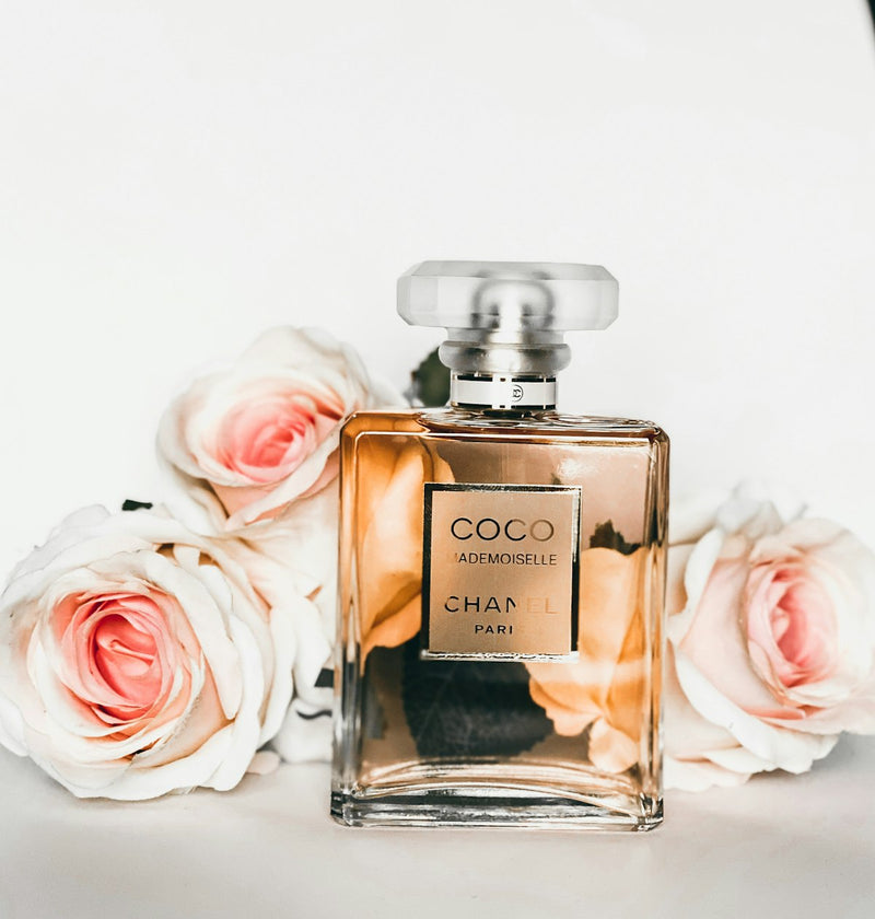 Fragrances & Perfumes collection banner