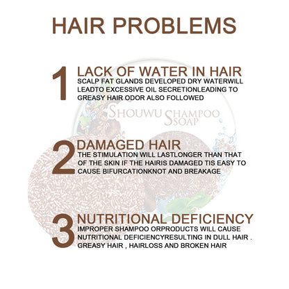EELHOE Polygonum Multiflorum Shampoo Cake, Nourishing Root Essential Oil Shampoo Black Soothing Vegetable Shampoo