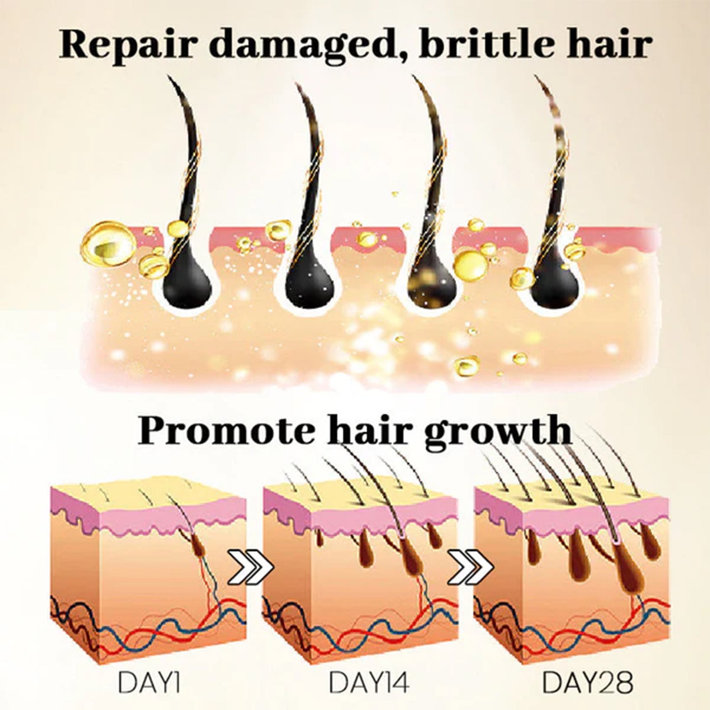 OUHOE Ginseng Massage Essence, Moisturizes Scalp Strengthens Hair Prevents Loss Hair Care Essence